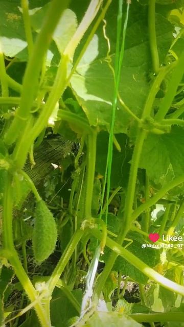 Красота в глазах смотрящего.