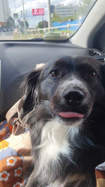 Красота в глазах смотрящего.