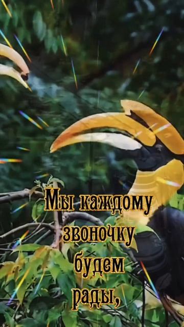 Разное от А до Я