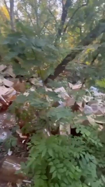 Блог #Мими_кися