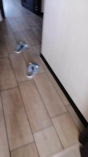 E2c56d55493e59be721395105389f071