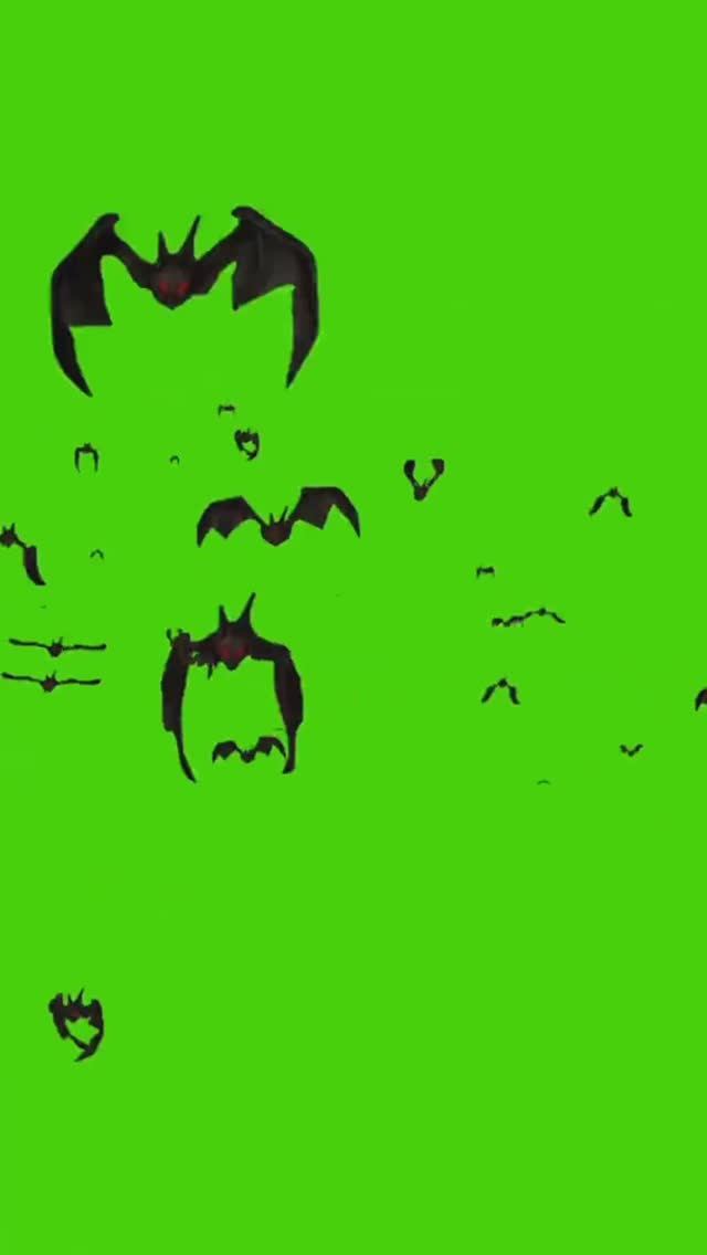 Футажи для монтажа. Хромакей.