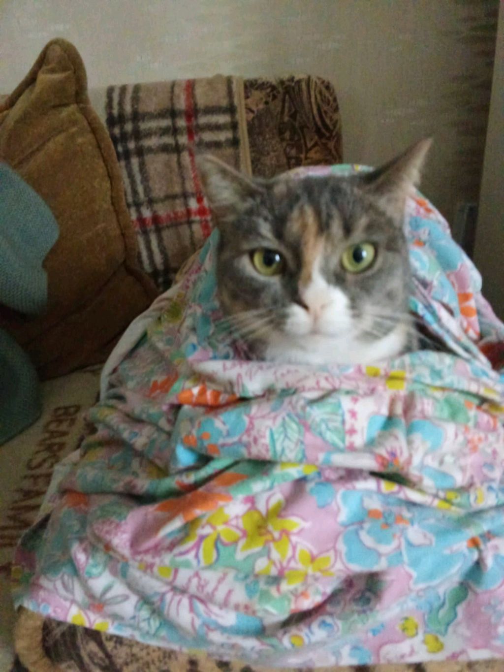 Vlog: моё утро