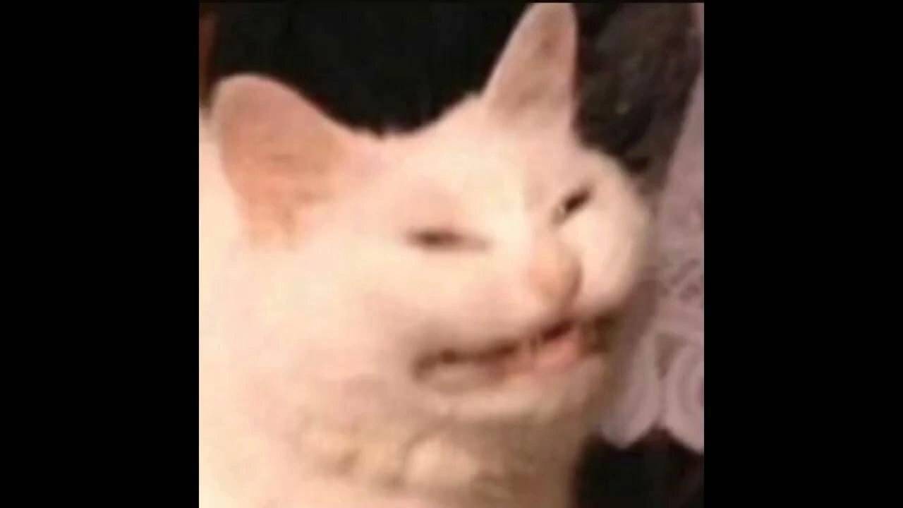 Зачильтесь