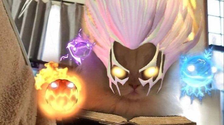 Кот/инвокер