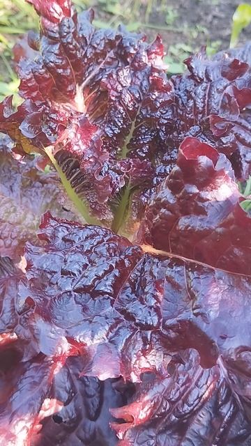 1d0284170e06d24a0f06c737228e5845