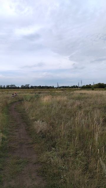 #питбайк Winner Wr125