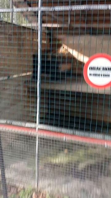 Кузнецкий Алатау