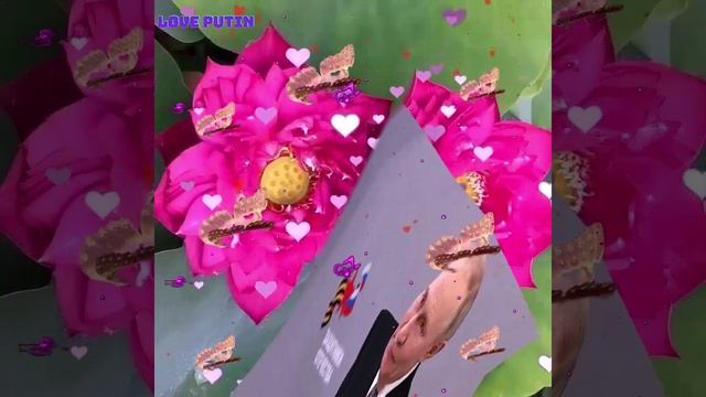 NGUYỄN HỒ NGỌC NHIỀU ( BX PUTIN )