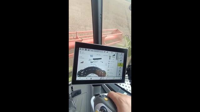 TRION 730 уборка гороха, больше инфо в TELEGRAM