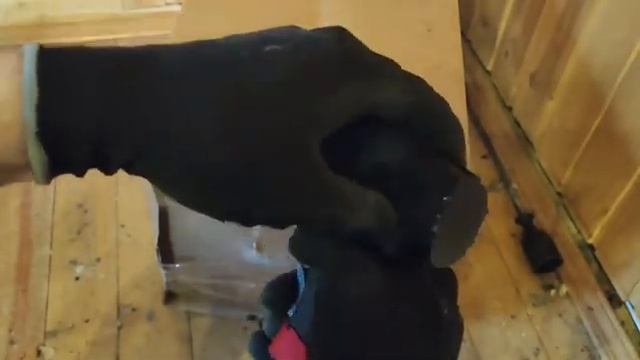 ПУ-4 Универсальная насадка испытания