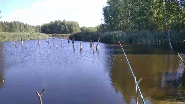 Надо сюда шашлык пожарить сходить ✌️😉