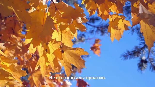 Осень любви