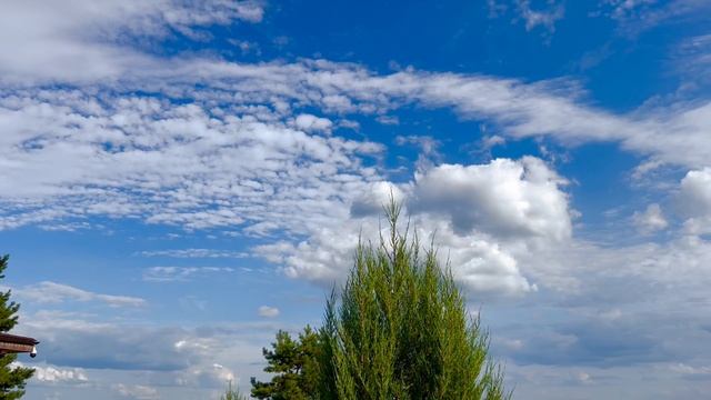 Меня конечно приютили города