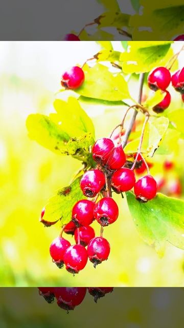 56a1e21aa73fd5d610b052633ae269a7