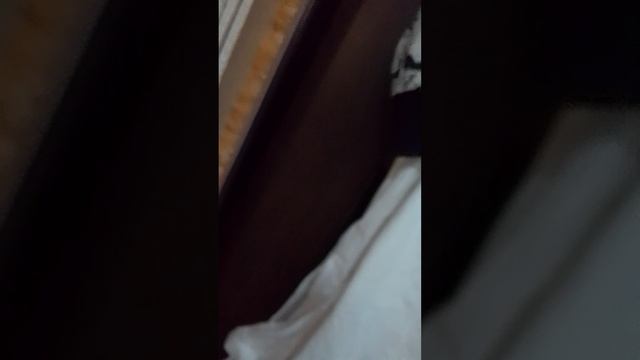 060a589d88bd093b51bf05e195cd2c3a