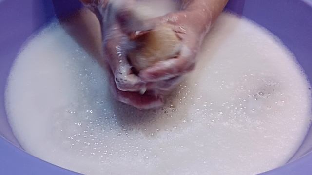 B467d0c2c924c766eae8b7bbb98a18fd