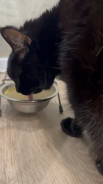 Не ем мясо на ночь!!!