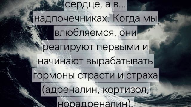 C00276954498aa747d95ce1e68d0944e