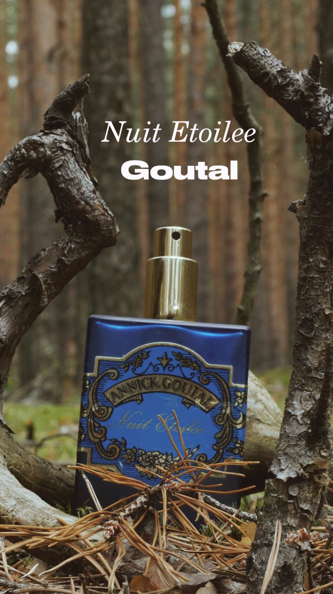 Nuit Étoilée Goutal | Звёздная ночь в лесу