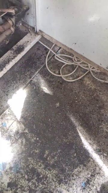 1cc1d2b34ff336e9acd713ca4a32539e