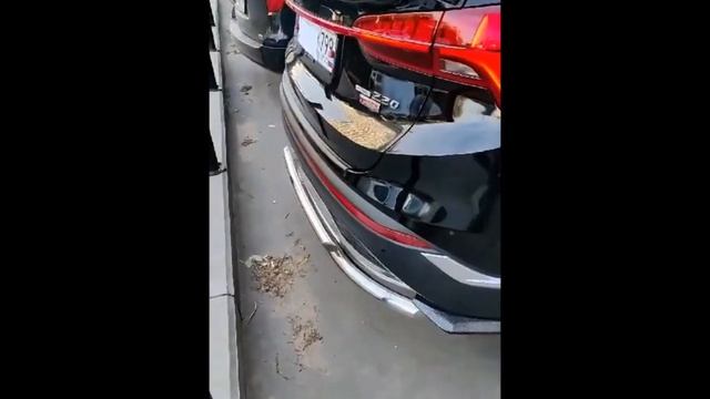 Защита бамперов и порогов на Hyundai Santa Fe . #Hyundai #Santa Fe