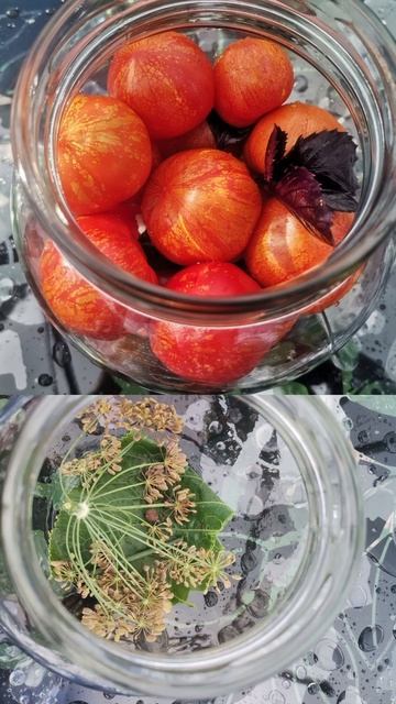 Садовый Мир