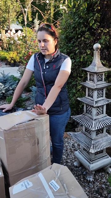 Растения почтой. Как это?