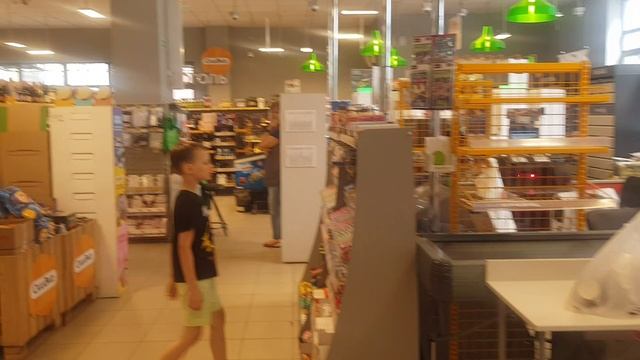 внутри ком 15