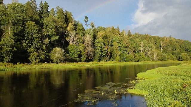 Москва-река рядом с Можайском.