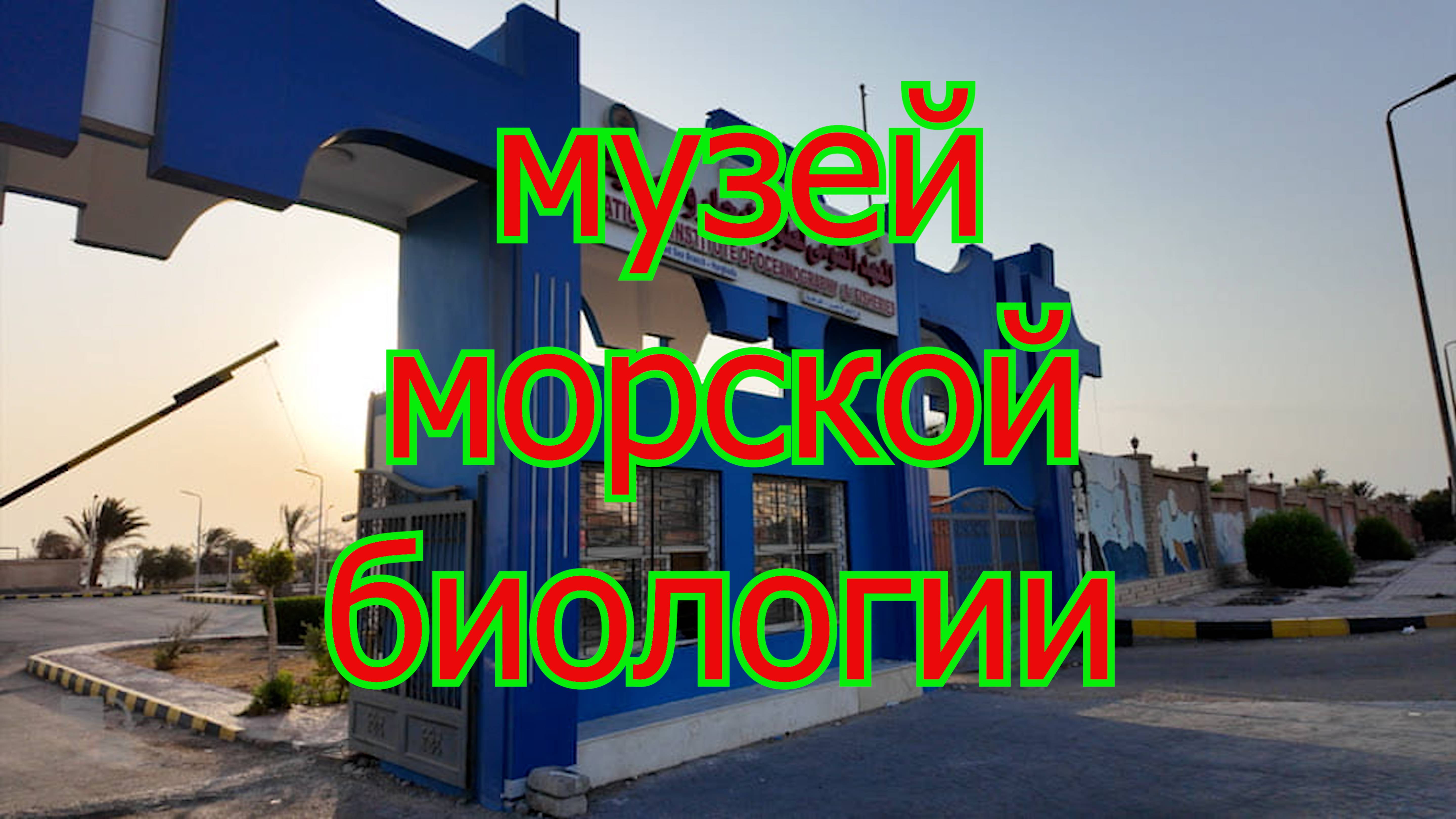 Пробежка к музею морской биологии в Хургаде.