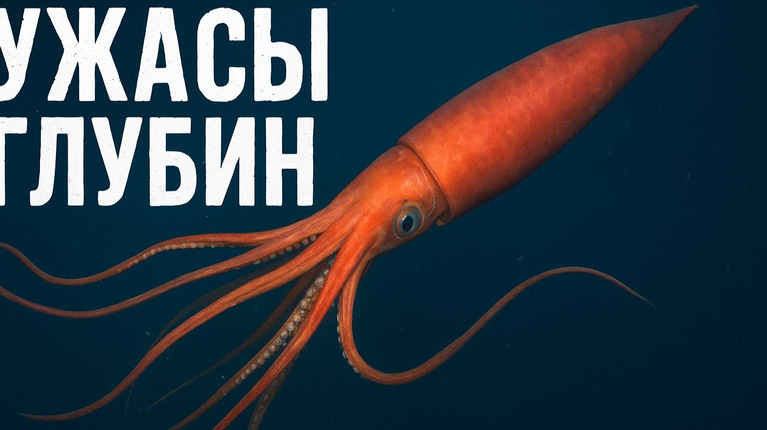 Ужасы глубин гигантские кальмары и осьминоги