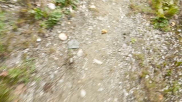 Даниил Жёлтышев, Разах, Егор Глазков - Боремся с алкоголизмом (клип)