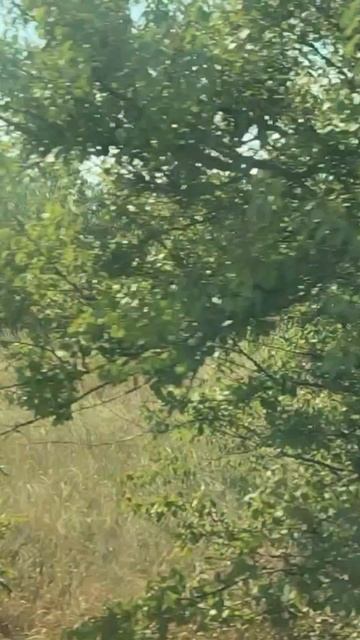 Поезд №511 ЯА Воркута - Новороссийск 🚄 ASMR #поезд