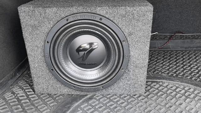 DL AUDIO ANACONDA 10