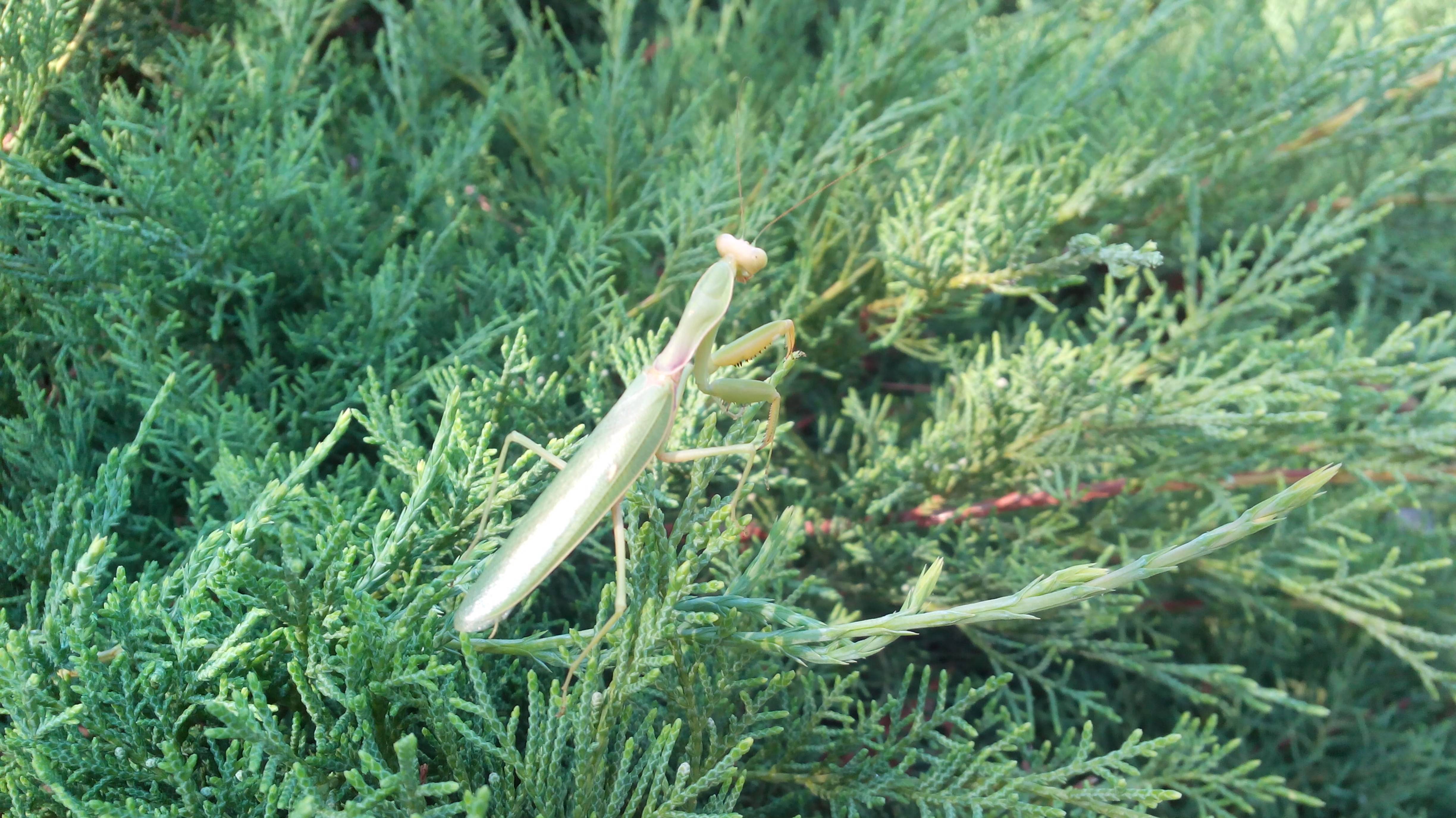 A4e844544039659a2ba8fce076438a2c