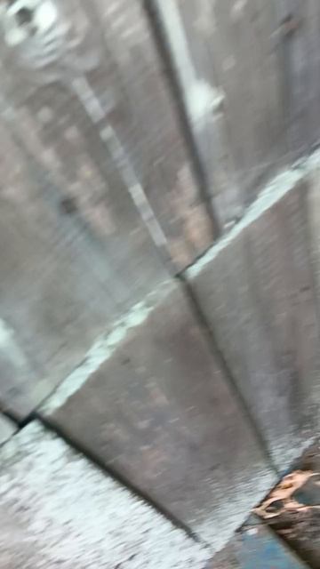 9a67f795d2e051f5fa4e5edfbb9fdc9e