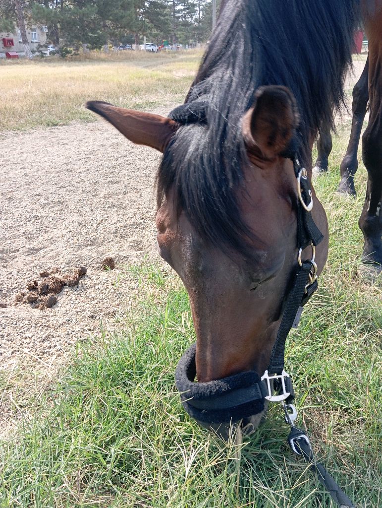 D3661b25b64b249f83a75b1eef1a96ad