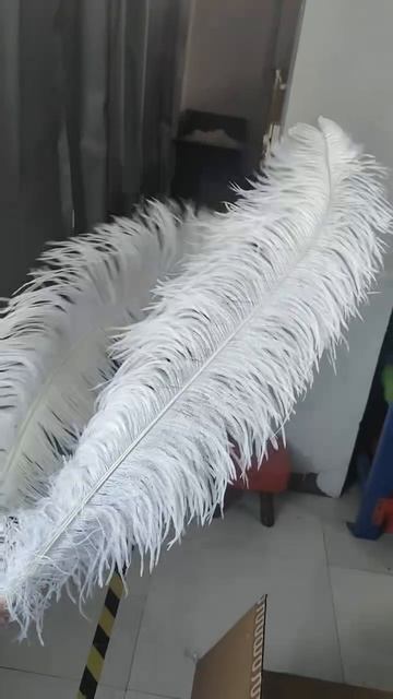 Премиум перья страуса 70-75 см, 1 шт., Белые