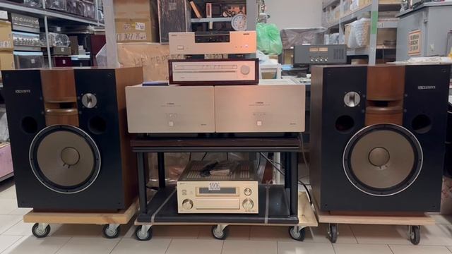 Предварительный усилитель Victor P-L10