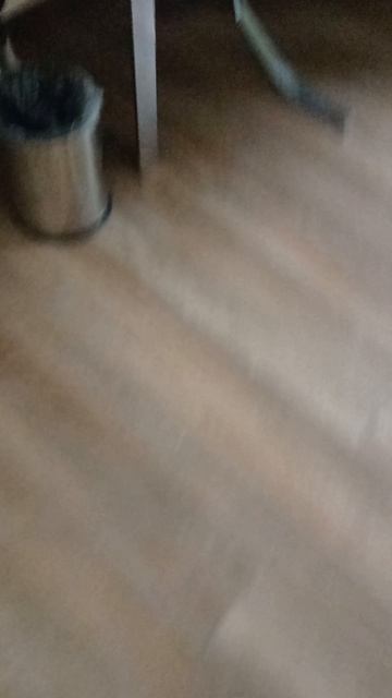 🤯😇у нас в номере киса!!!😇🤯