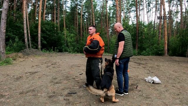 Арчи Бийск