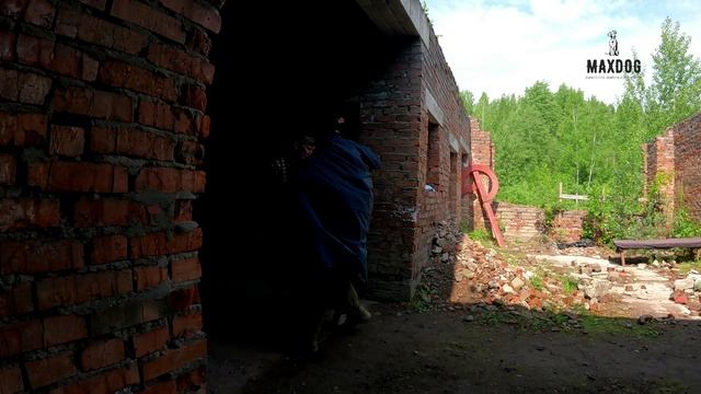 тесты ЗГС 07.06.2025
