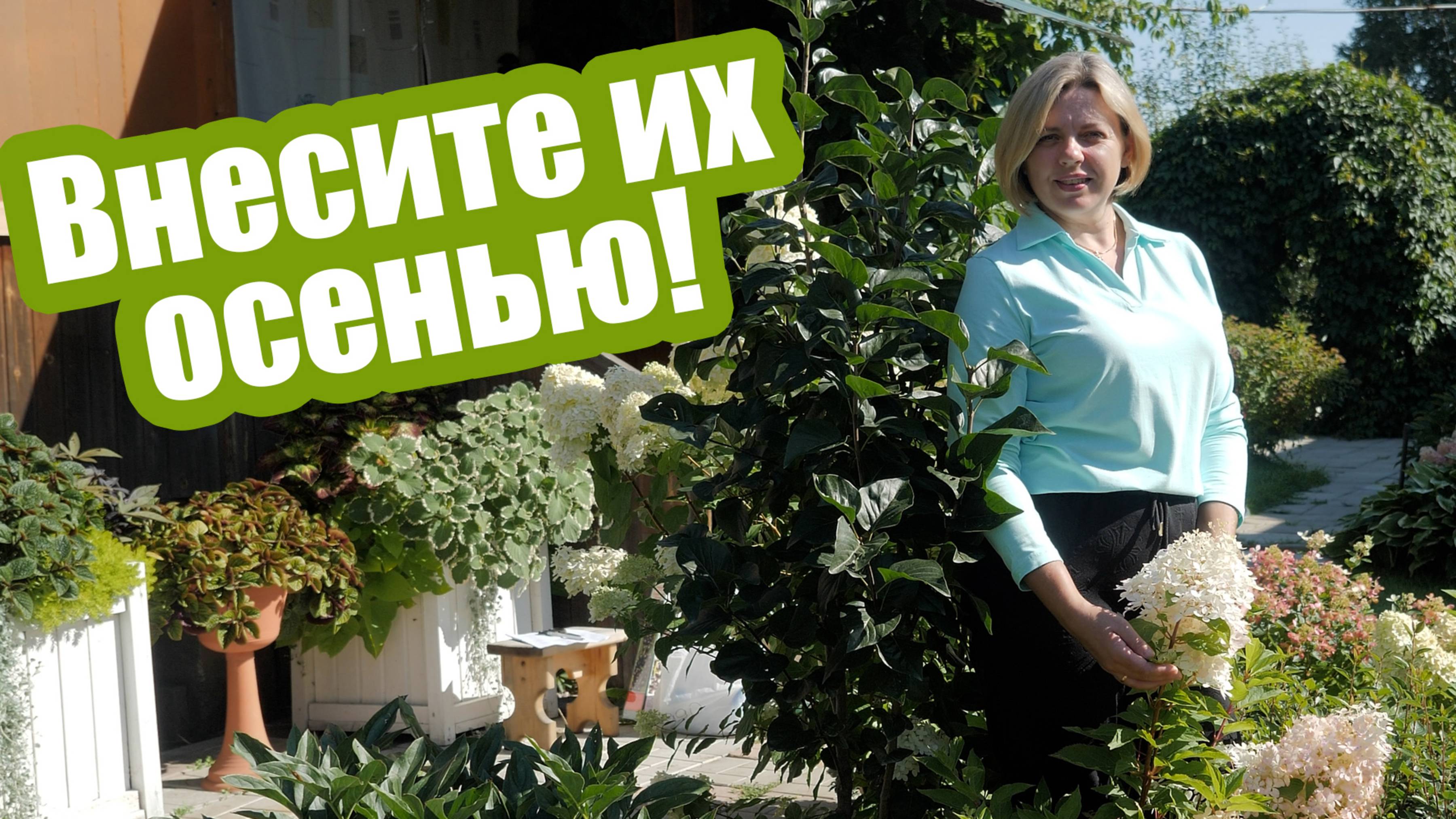 Антонов Сад