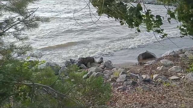 Элина Осень.Плесни мне нежности