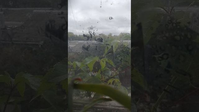 У СОСЕДЕЙ ТИШИНА 2