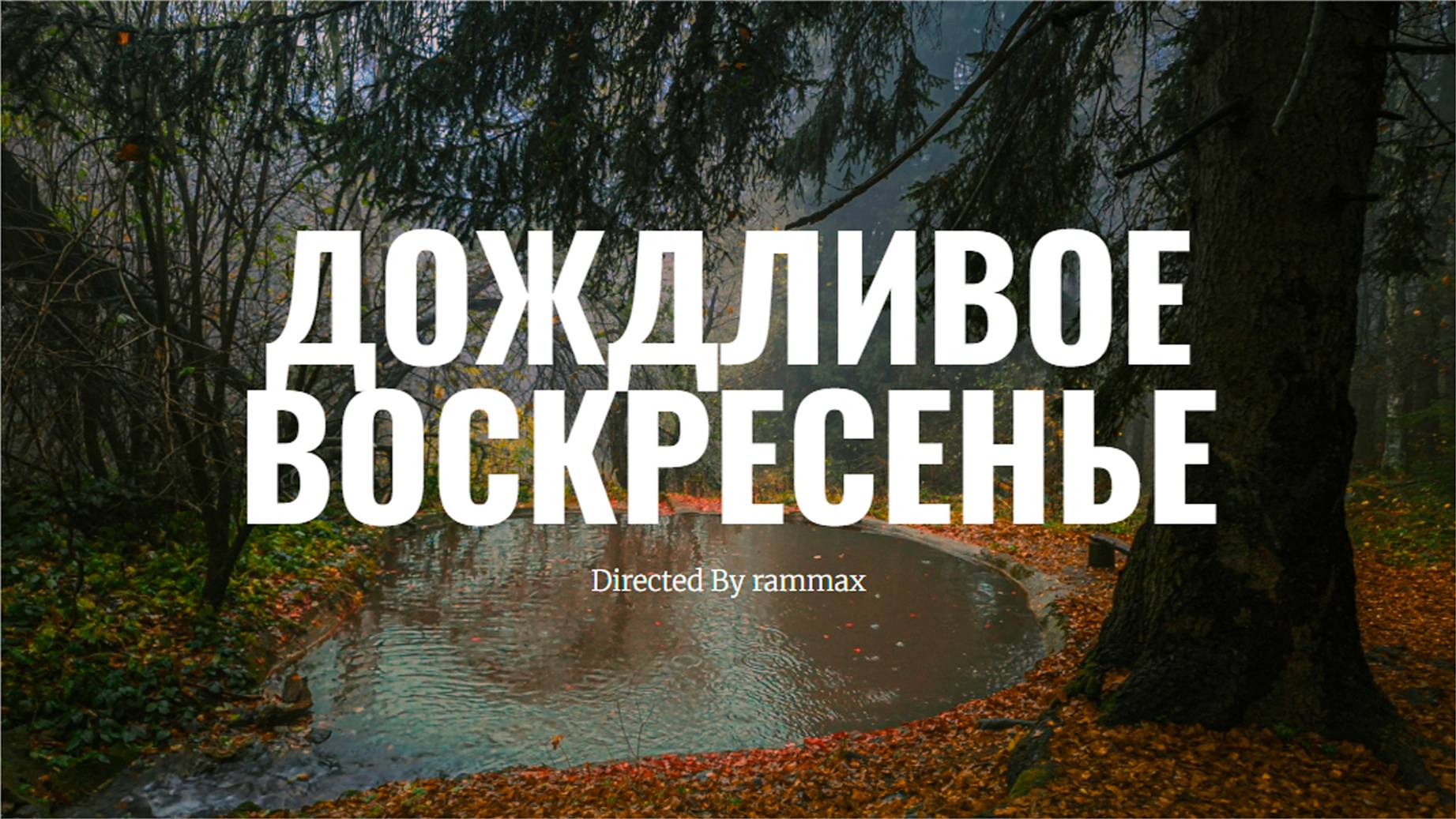 ДОЖДЛИВОЕ ВОСКРЕСЕНЬЕ