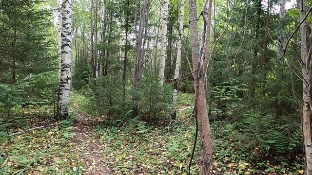 8653be48d61da2c83984b0c31afec357