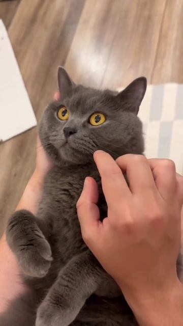 Главное не накручивать себя)