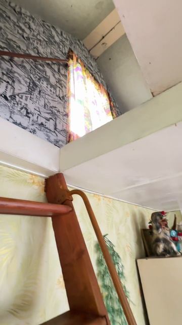 copy_35C7F86C-796B-4E8E-A05B-31C3864E1B32